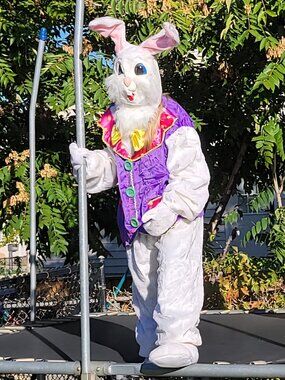 Rubies Deluxe Full Body Easter Bunny Costume Mascot